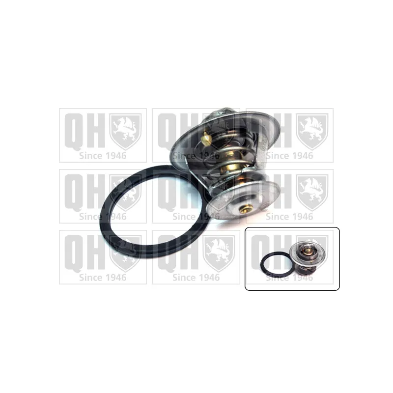 Thermostat d'eau QUINTON HAZELL QTH436K