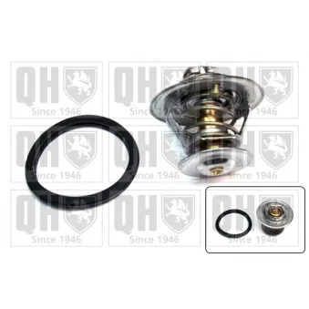 Thermostat d'eau QUINTON HAZELL QTH437K