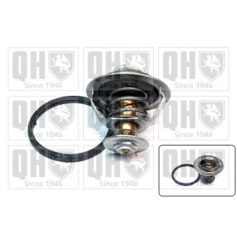 Thermostat d'eau QUINTON HAZELL QTH439K