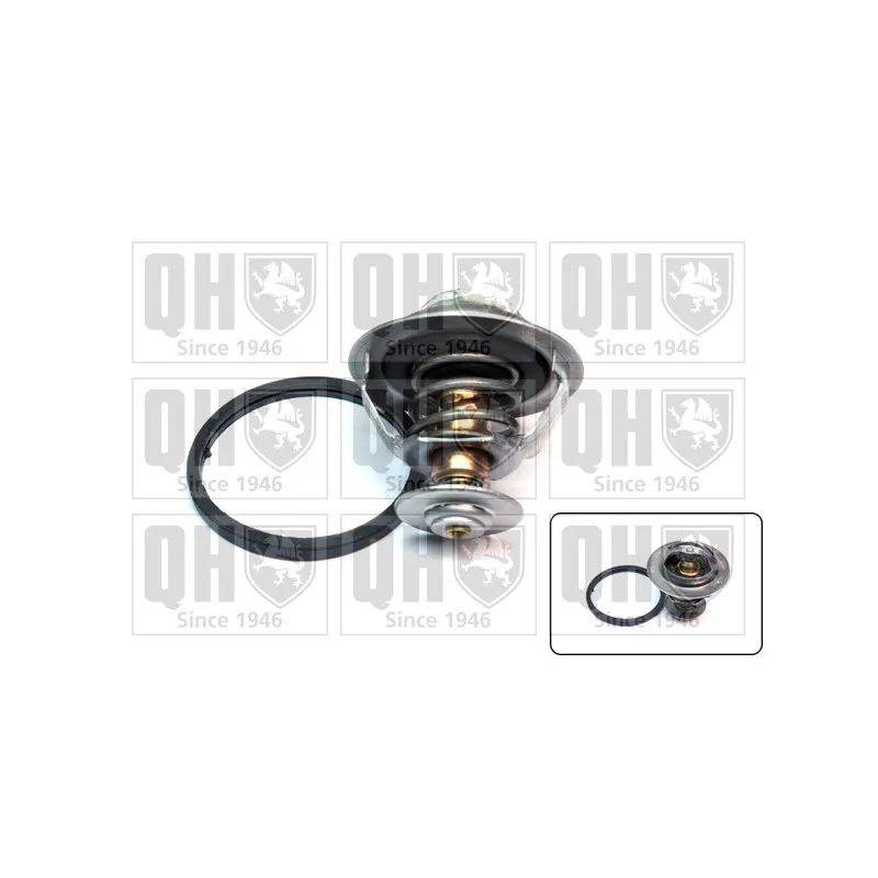 Thermostat d'eau QUINTON HAZELL QTH439K