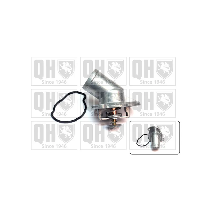 Thermostat d'eau QUINTON HAZELL QTH453K