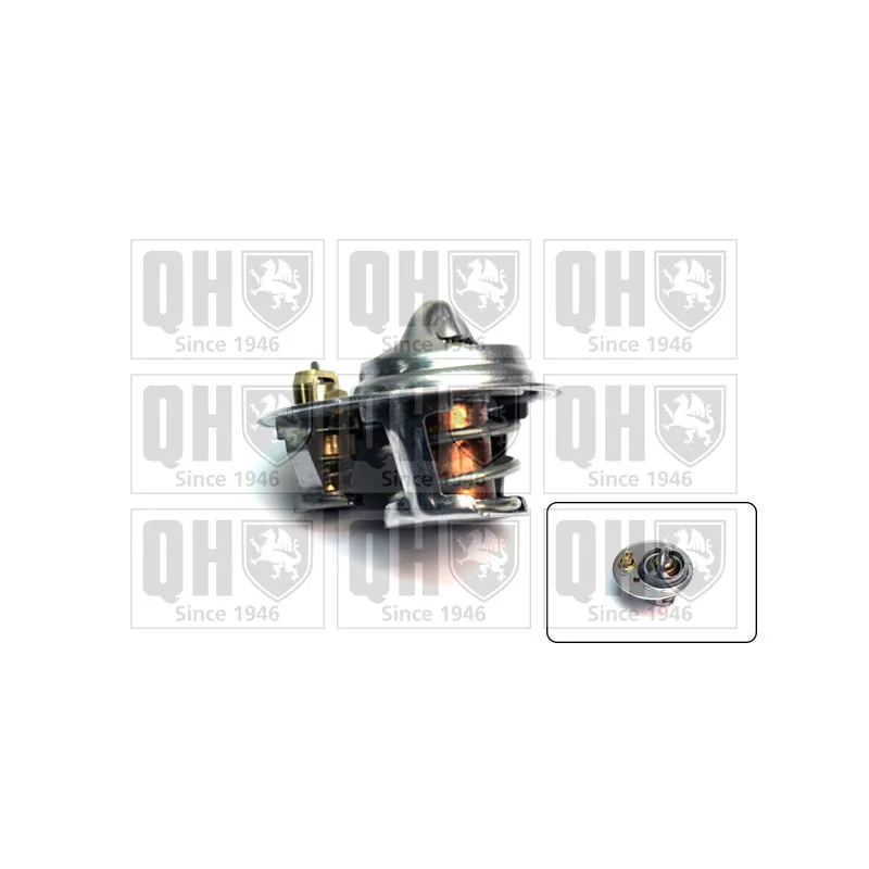 Thermostat d'eau QUINTON HAZELL QTH461