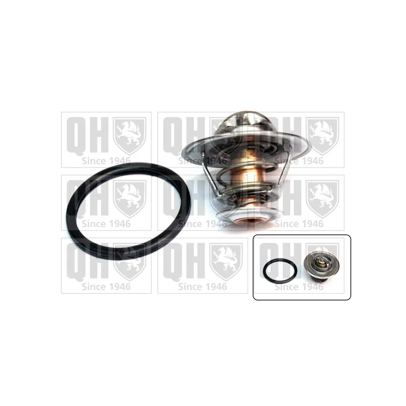 Thermostat d'eau QUINTON HAZELL QTH469K