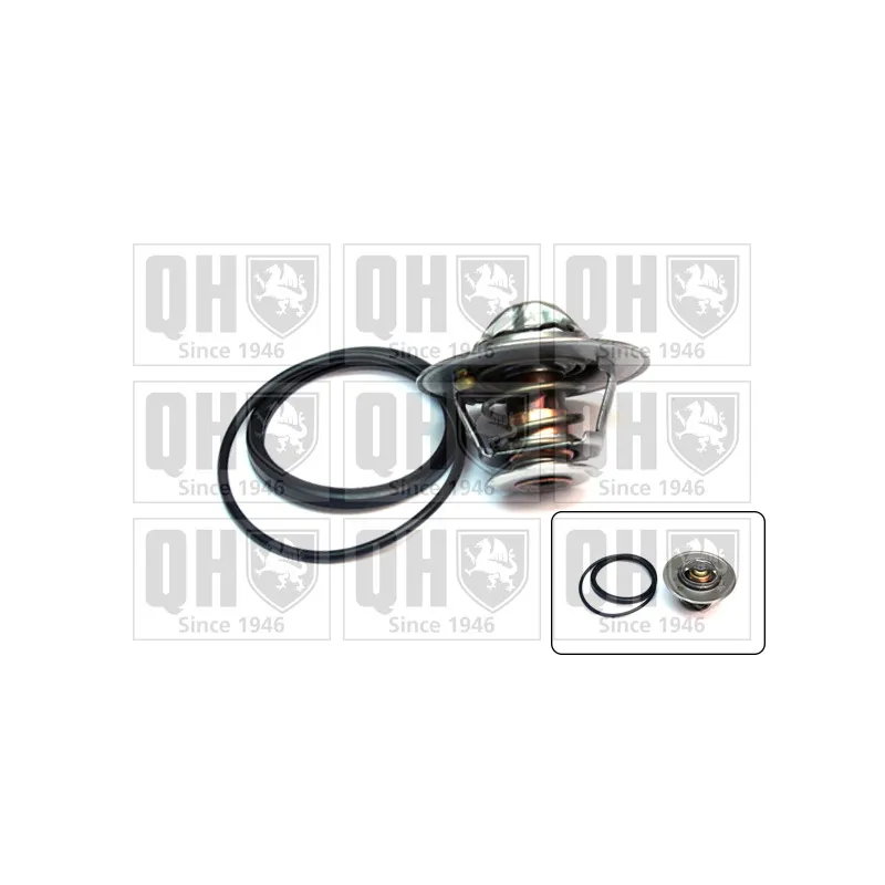 Thermostat d'eau QUINTON HAZELL QTH484K
