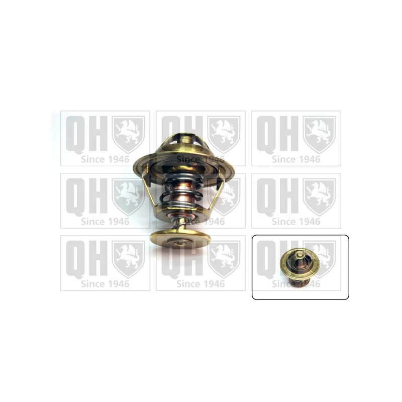 Thermostat d'eau QUINTON HAZELL QTH487