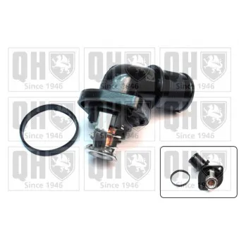 Thermostat d'eau QUINTON HAZELL QTH491K