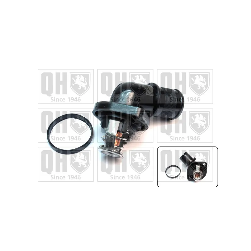 Thermostat d'eau QUINTON HAZELL QTH491K