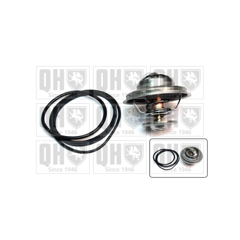 Thermostat d'eau QUINTON HAZELL QTH492K