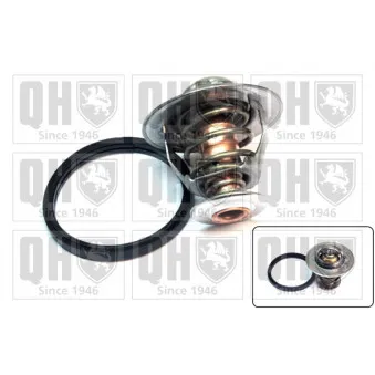 Thermostat d'eau QUINTON HAZELL QTH495K