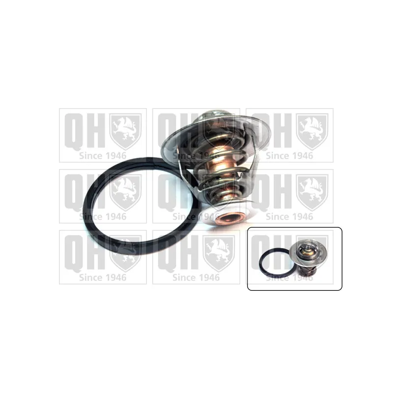 Thermostat d'eau QUINTON HAZELL QTH495K