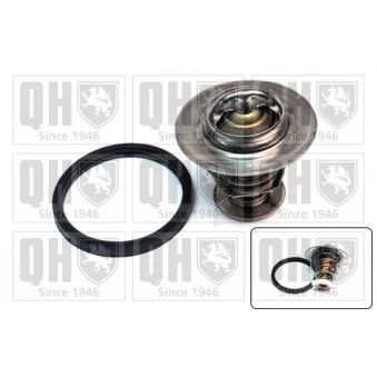 Thermostat d'eau QUINTON HAZELL QTH496K