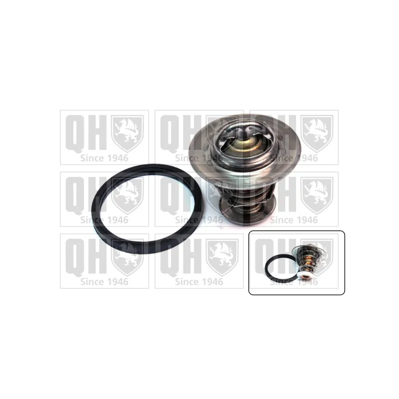 Thermostat d'eau QUINTON HAZELL QTH496K