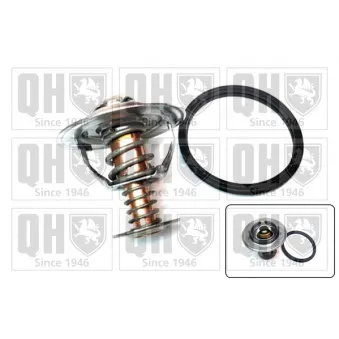 Thermostat d'eau QUINTON HAZELL QTH499K