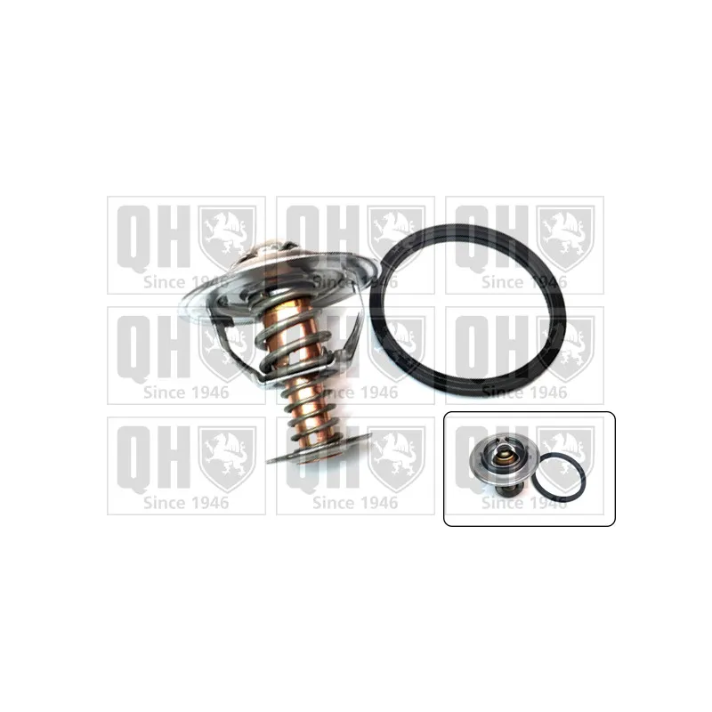 Thermostat d'eau QUINTON HAZELL QTH499K