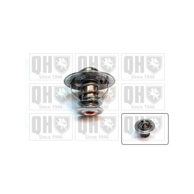 Thermostat d'eau QUINTON HAZELL QTH501