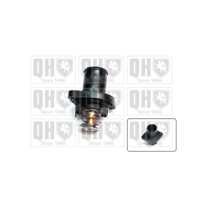 Thermostat d'eau QUINTON HAZELL QTH504K