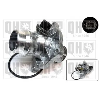 Thermostat d'eau QUINTON HAZELL