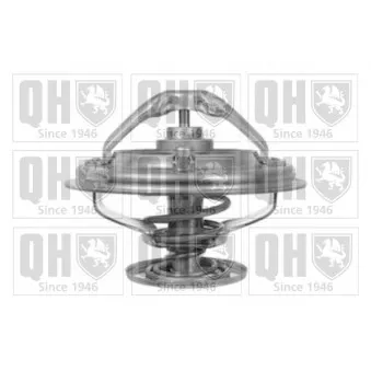 Thermostat d'eau QUINTON HAZELL QTH511K