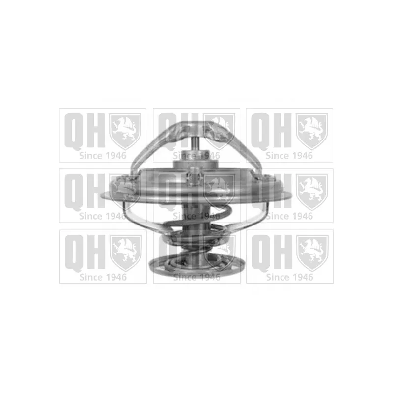 Thermostat d'eau QUINTON HAZELL QTH511K