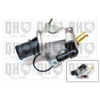 Thermostat d'eau QUINTON HAZELL QTH518K