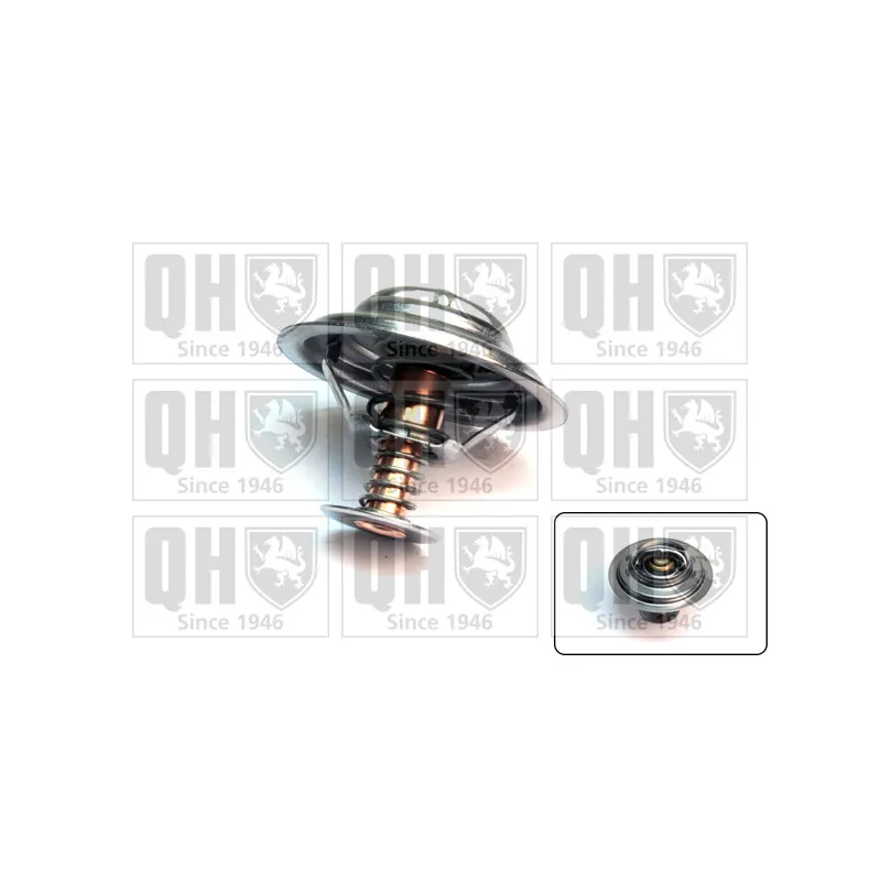 Thermostat d'eau QUINTON HAZELL QTH529
