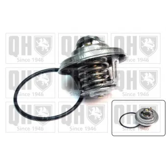 Thermostat d'eau QUINTON HAZELL