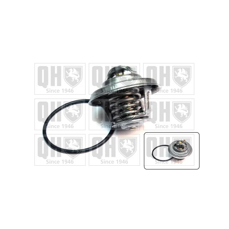 Thermostat d'eau QUINTON HAZELL QTH532K