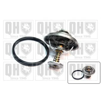 Thermostat d'eau QUINTON HAZELL QTH539K