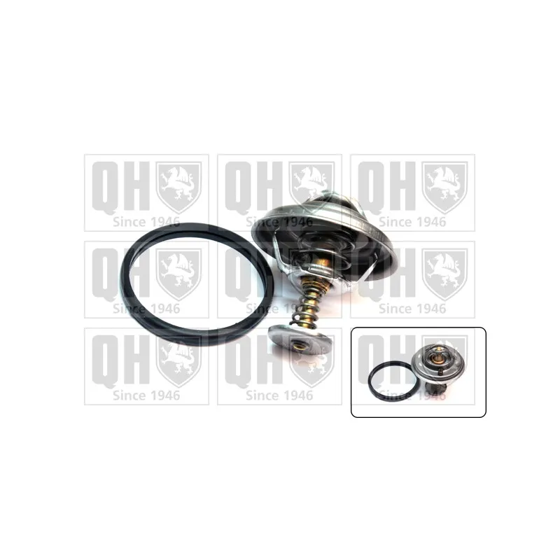 Thermostat d'eau QUINTON HAZELL QTH539K