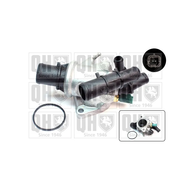 Thermostat d'eau QUINTON HAZELL QTH541K
