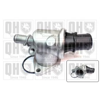 Thermostat d'eau QUINTON HAZELL