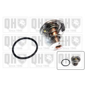 Thermostat d'eau QUINTON HAZELL QTH556K