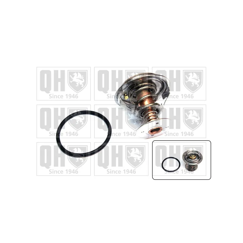 Thermostat d'eau QUINTON HAZELL QTH556K