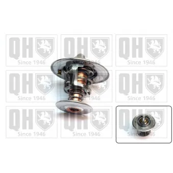 Thermostat d'eau QUINTON HAZELL QTH557