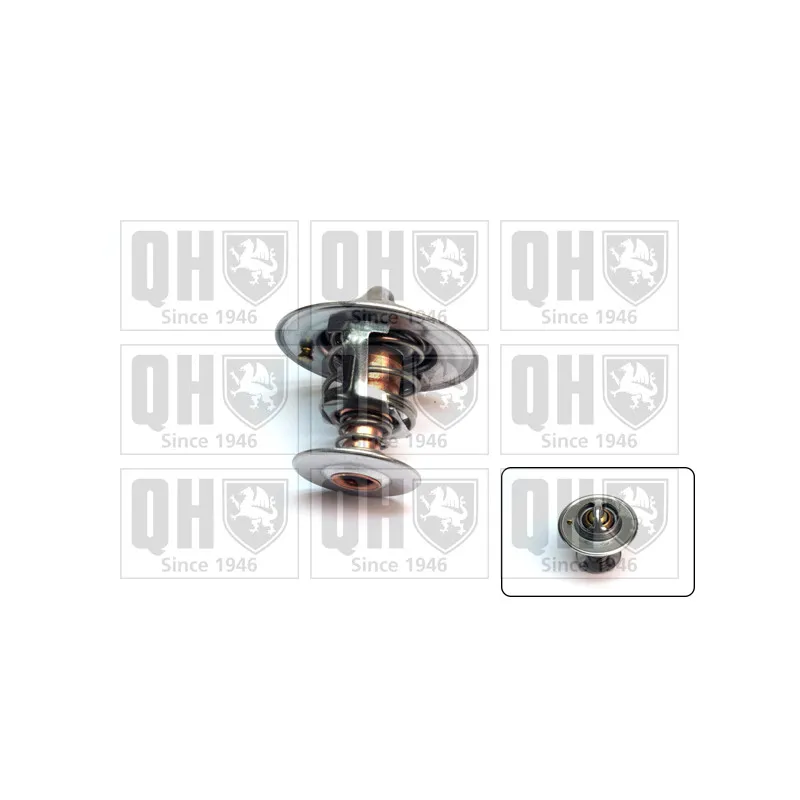 Thermostat d'eau QUINTON HAZELL QTH557