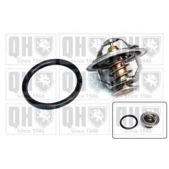 Thermostat d'eau QUINTON HAZELL QTH558K