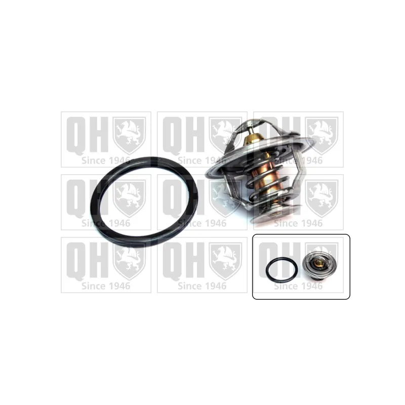 Thermostat d'eau QUINTON HAZELL QTH558K