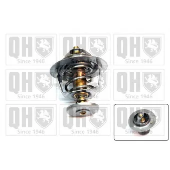 Thermostat d'eau QUINTON HAZELL QTH560