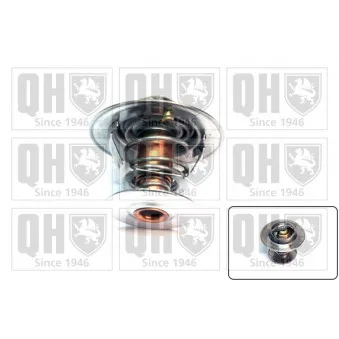 Thermostat d'eau QUINTON HAZELL QTH568