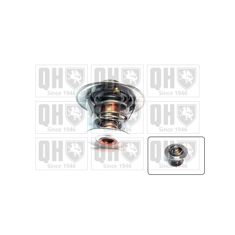 Thermostat d'eau QUINTON HAZELL QTH568