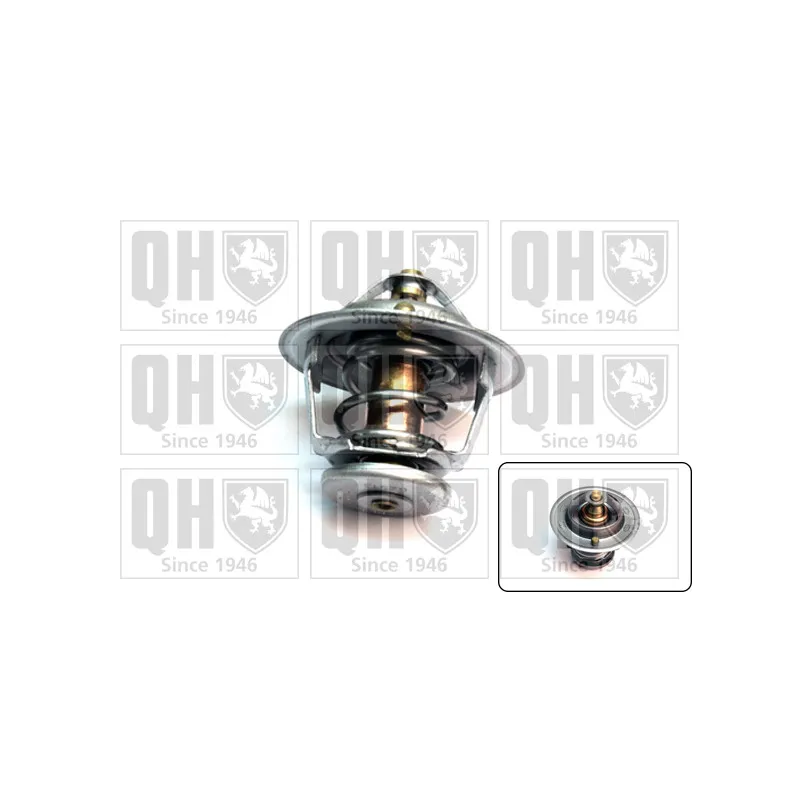 Thermostat d'eau QUINTON HAZELL QTH574