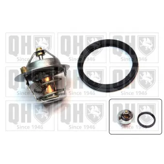 Thermostat d'eau QUINTON HAZELL QTH576K