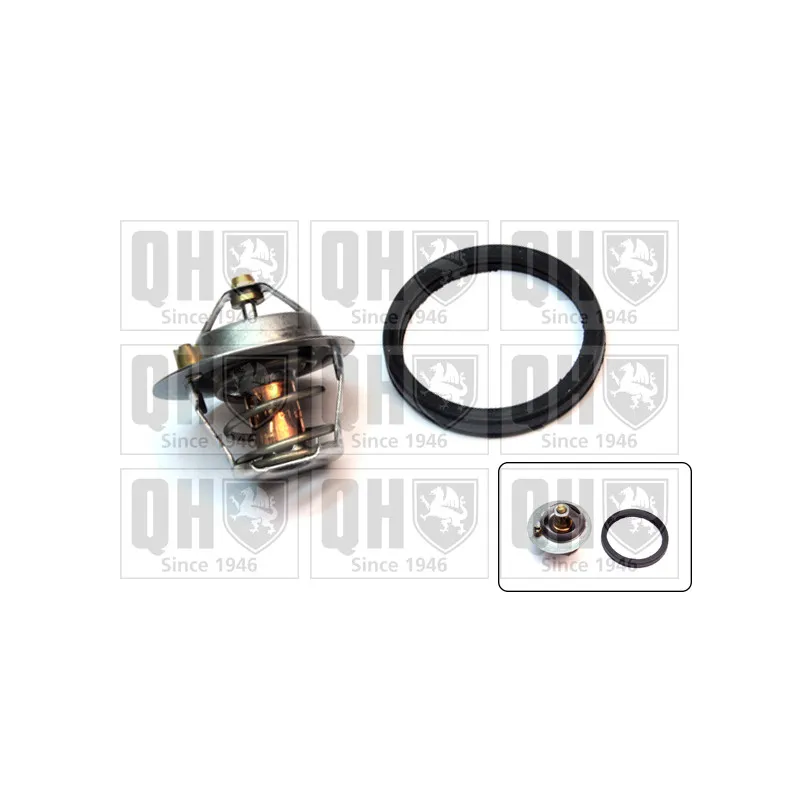 Thermostat d'eau QUINTON HAZELL QTH576K