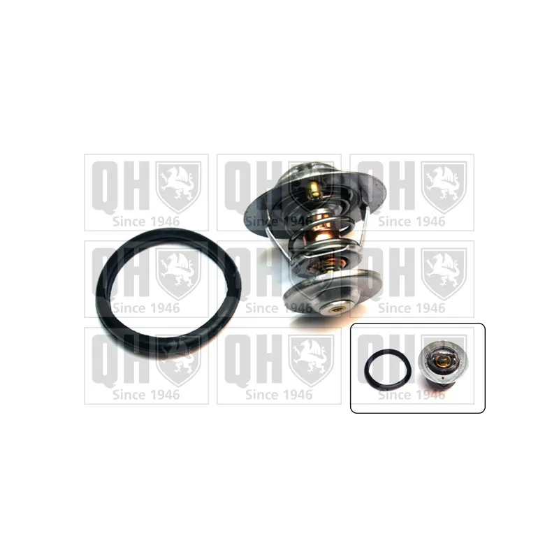 Thermostat d'eau QUINTON HAZELL QTH578K