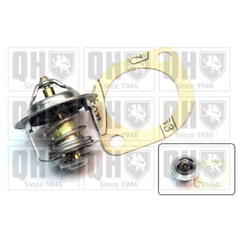 Thermostat d'eau QUINTON HAZELL QTH580K