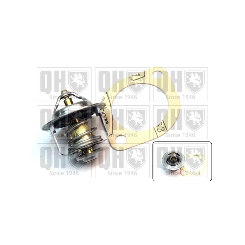 Thermostat d'eau QUINTON HAZELL QTH580K