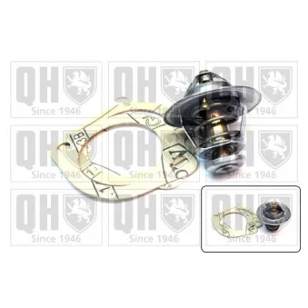 Thermostat d'eau QUINTON HAZELL QTH584K