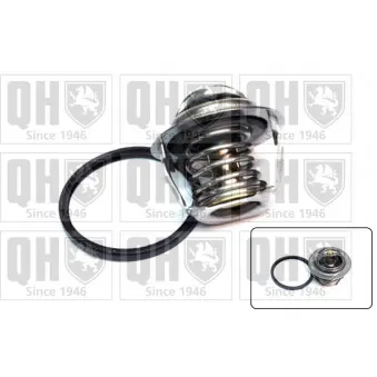 Thermostat d'eau QUINTON HAZELL
