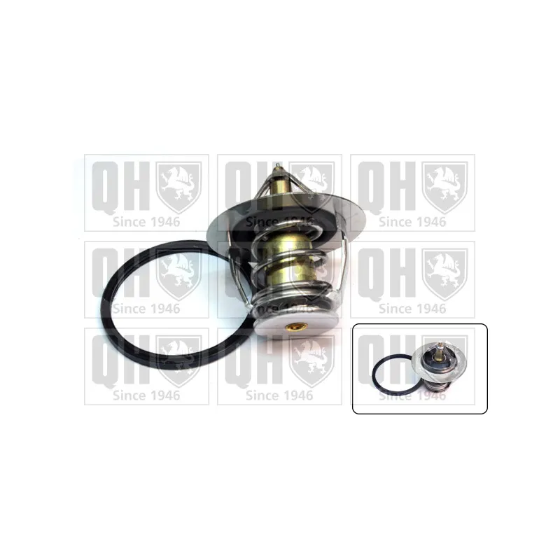 Thermostat d'eau QUINTON HAZELL QTH587K