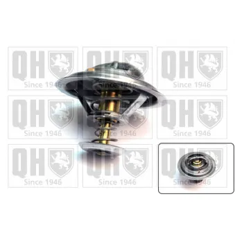 Thermostat d'eau QUINTON HAZELL QTH589